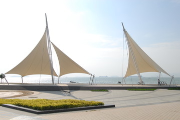 风儿流着泪会枯萎这首歌的歌名什么？